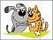 Dog and Cat